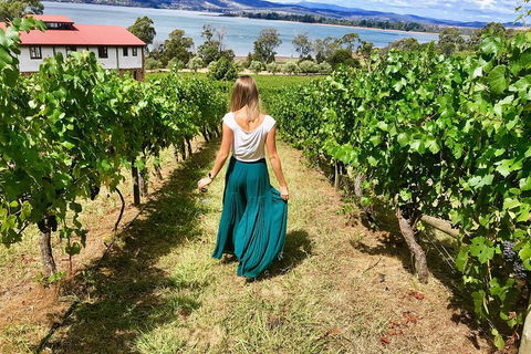 Tamar Valley Wine Tour With Lunch - Rental Cars 2