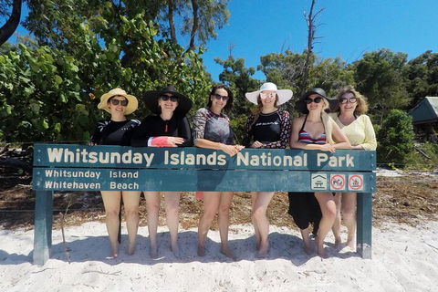 Whitehaven Beach Club - Rental Cars 0
