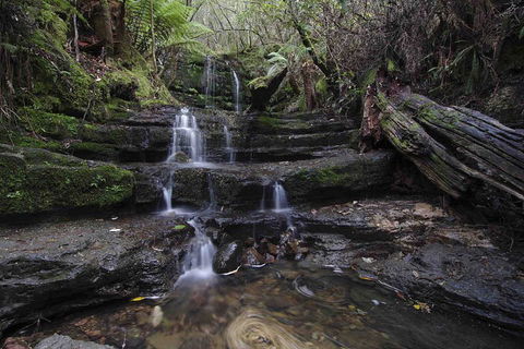 Hobart And Surrounds Photography Workshop - Rental Cars 1