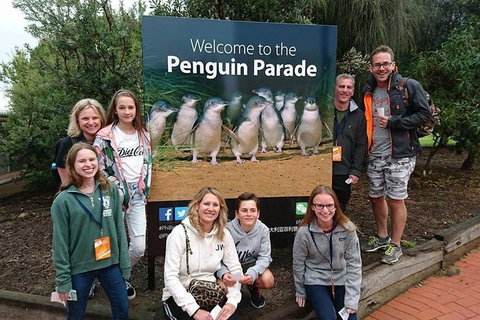 Phillip Island Medium Size Group Tour - Rental Cars 5