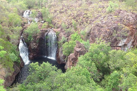 Litchfield National Park And Jumping Crocodile Cruise - Rental Cars 4
