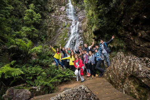 5-Day Lap Of Tasmania Tour From Hobart (flexible Ticket) - Rental Cars 0