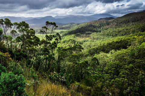 5-Day Lap Of Tasmania Tour From Hobart (flexible Ticket) - Rental Cars 2