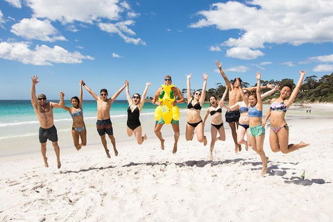 5-Day Lap Of Tasmania Tour From Hobart (flexible Ticket) - Rental Cars 4