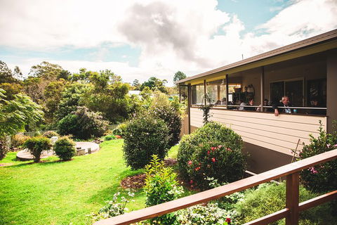 Full-day Springbrook National Park Tour From The Gold Coast - Rental Cars 2