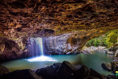Full-day Springbrook National Park Tour From The Gold Coast - Rental Cars 3