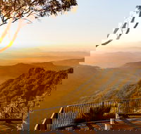 O'Reilly's  Lamington National Park incl. Alpaca Farm  Vineyard - Rental Cars