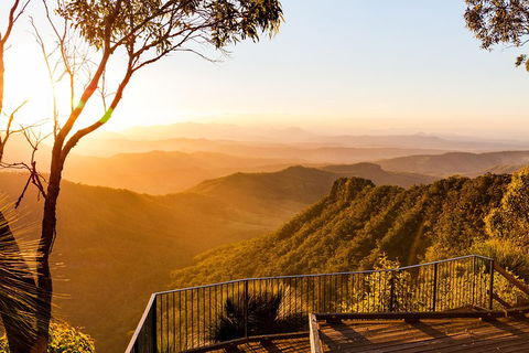O'Reilly's & Lamington National Park Incl. Alpaca Farm + Vineyard - Rental Cars 0