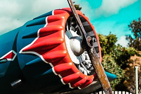 O'Reilly's & Lamington National Park Incl. Alpaca Farm + Vineyard - Rental Cars 1