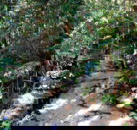 Fraser Island 4WD Tour from Rainbow Beach - Rental Cars