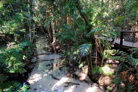 Fraser Island 4WD Tour From Rainbow Beach - Rental Cars 0