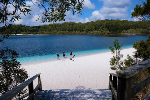 Fraser Island 4WD Tour From Rainbow Beach - Rental Cars 3
