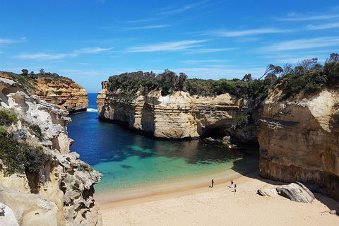 Great Ocean Road Adventure - Private Tour - Reverse - Rental Cars 0