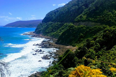 Great Ocean Road Adventure - Private Tour - Reverse - Rental Cars 3