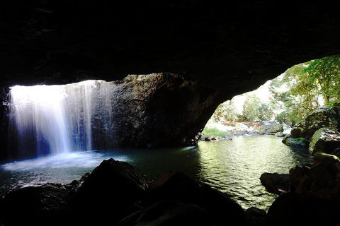 Rainforest & Waterfalls Extravaganza - Rental Cars 0