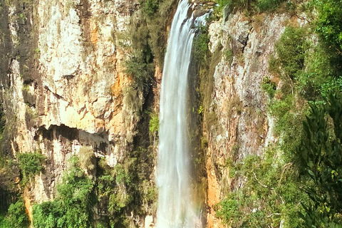 Natural Arch, Rainforest & Volcano Canyon - Private Half Day Tour - Rental Cars 2