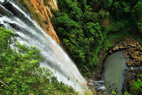 Natural Arch, Rainforest & Volcano Canyon - Private Half Day Tour - Rental Cars 5