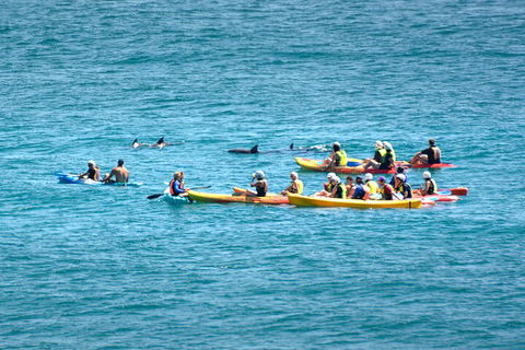 The Byron Bay Sea Kayak Tour - Rental Cars 1