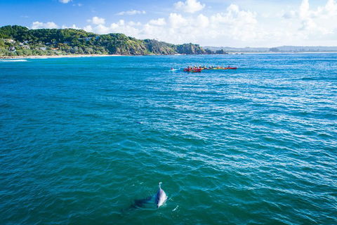 The Byron Bay Sea Kayak Tour - Rental Cars 2