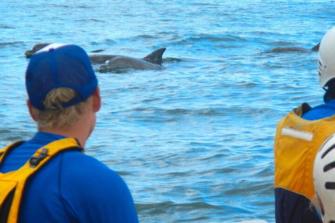 The Byron Bay Sea Kayak Tour - Rental Cars 4