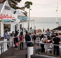 Phillip Island and French Island Wildlife Expedition - Rental Cars