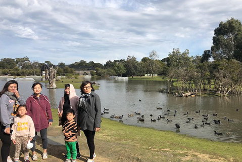 Phillip Island Penguins Private Tour - Rental Cars 1
