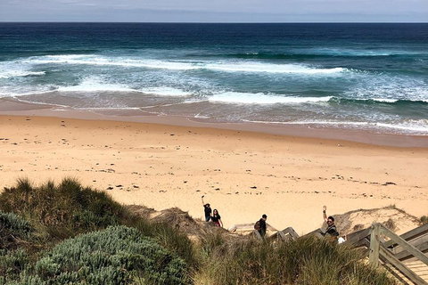 Phillip Island Penguins Private Tour - Rental Cars 4