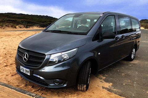 Phillip Island Penguins Private Tour - Rental Cars 5
