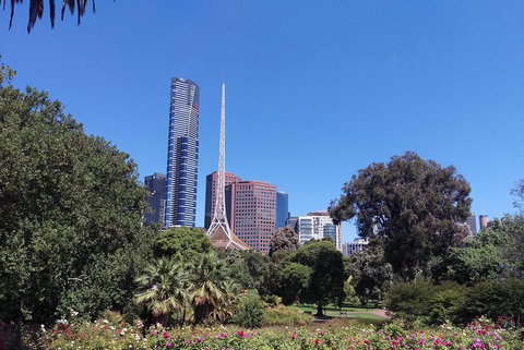 Melbourne City Private Tour - Rental Cars 5