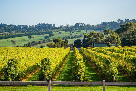 Private Tours From Melbourne - Rental Cars 1