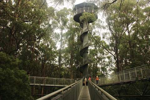 Private Tours From Melbourne - Rental Cars 5