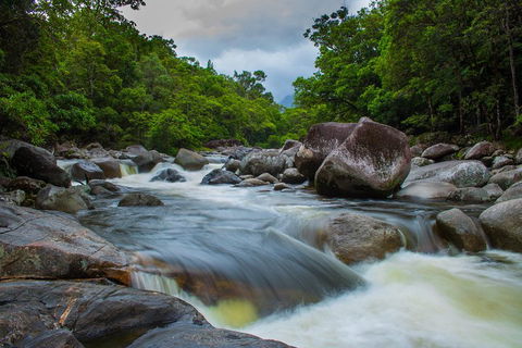 Cape Tribulation Day Tour - Rental Cars 0