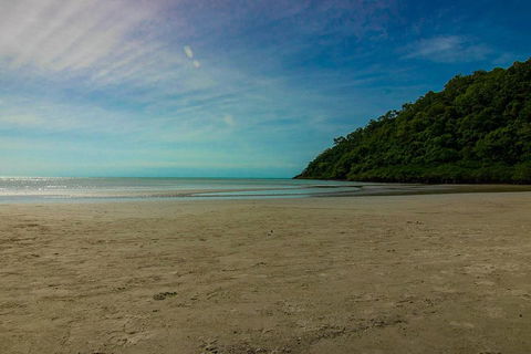 Cape Tribulation Day Tour - Rental Cars 2