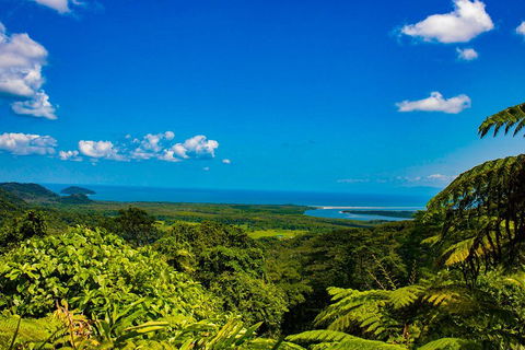 Cape Tribulation Day Tour - Rental Cars 3