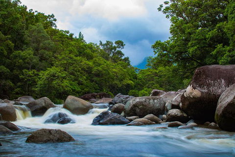 Cape Tribulation Day Tour - Rental Cars 4