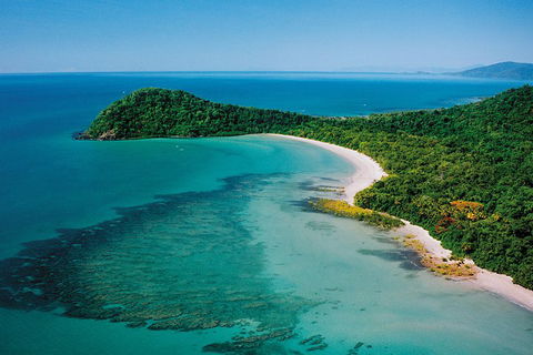 Daintree Rainforest, Cape Tribulation, Mossman Gorge Small-Group Day Tour - Rental Cars 4
