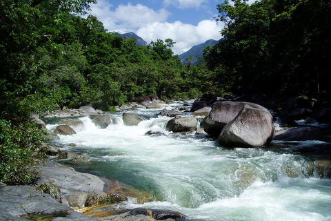 Daintree Rainforest, Cape Tribulation, Mossman Gorge Small-Group Day Tour - Rental Cars 5