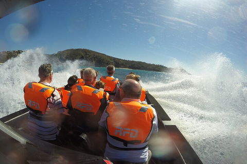 Noosa Thriller - 500hp Ocean Adventure Ride - Rental Cars 3