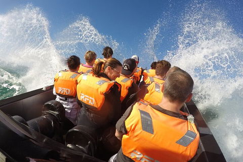 Noosa Thriller - 500hp Ocean Adventure Ride - Rental Cars 4