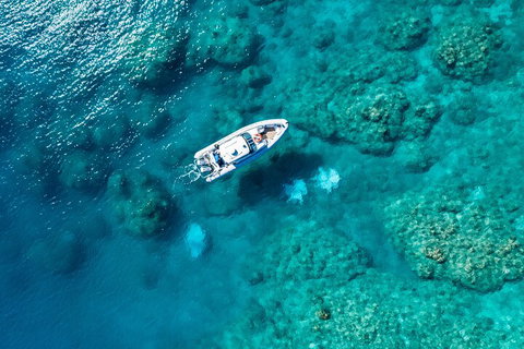 Premium Private Charter - Rental Cars 0