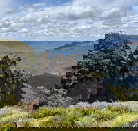 Blue Mountains Private Tour - wild kangaroos waterfalls and The Three Sisters - Rental Cars