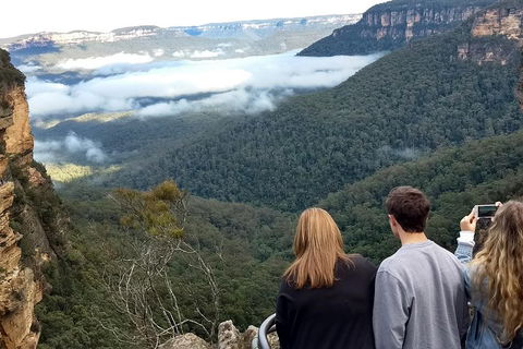 Blue Mountains Private Tour - Wild Kangaroos, Waterfalls And The Three Sisters - Rental Cars 3