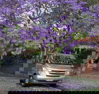 Sydney Secrets  Bondi Beach Private 4 Hr Morning with Personalised Sydney Tours - Rental Cars