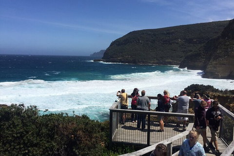 The Port Arthur MEGA Day Trip From Hobart - Rental Cars 2