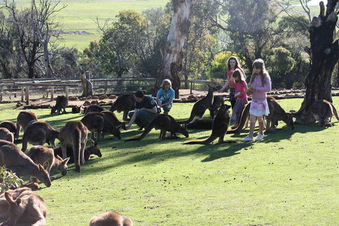 The Port Arthur MEGA Day Trip From Hobart - Rental Cars 5