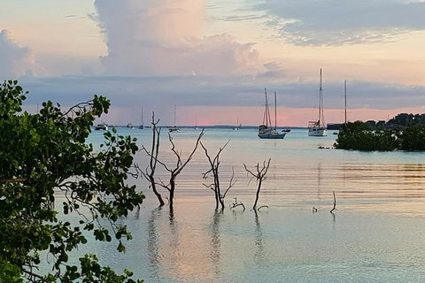 Tropical Light Sundowner Cruise With Drinks Included - Rental Cars 2