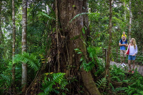 Kuranda Day Tour + HotAir Balloon Combo - Rental Cars 3
