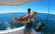 1/2 Day 5 Hour Offshore Fishing Charter - thumb 2
