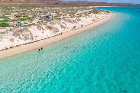 Ningaloo In A Day - Full Day Hike And Snorkel Tour With Lunch - Rental Cars 0