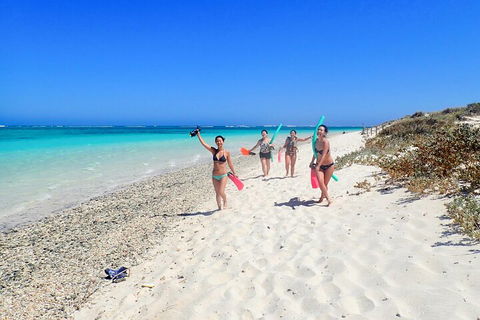 Ningaloo In A Day - Full Day Hike And Snorkel Tour With Lunch - Rental Cars 1
